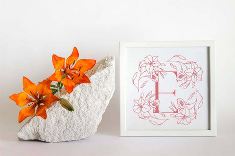 Gorgeous Floral Monogram Font Dm Letter Studio 