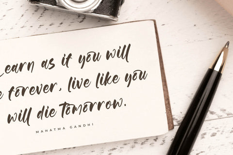 Gouthals Palmetto - Modern Handwritten Font Font Letterena Studios 