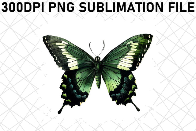 Graceful Watercolor Butterfly Set Sublimation afrosvg 