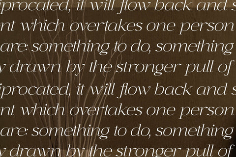 Graflows - Modern Font Serif Font Letterena Studios 