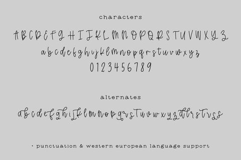 Grand Strand Script Font Beck McCormick 