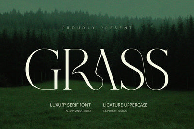 Grass - Serif Font Font Alpaprana Studio 