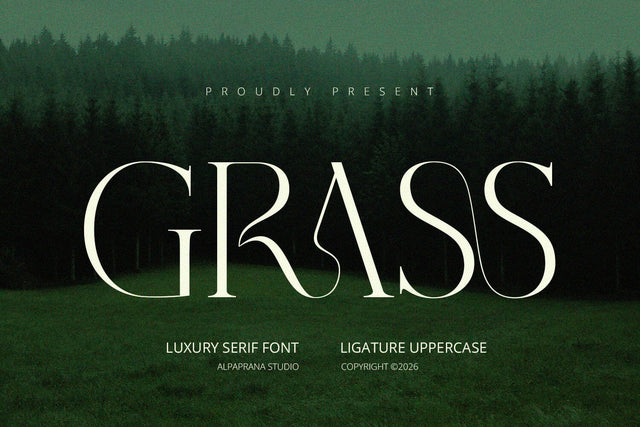 Grass - Serif Font Font Alpaprana Studio 