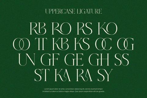 Grass - Serif Font Font Alpaprana Studio 