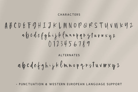 Grassland Script Font Beck McCormick 
