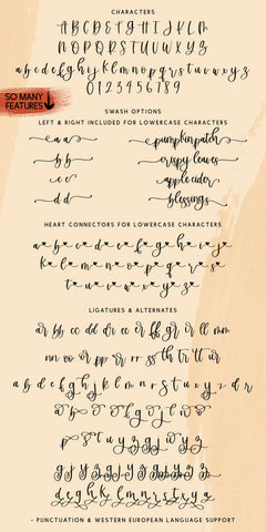 Grateful Season Script Font Beck McCormick 