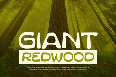 Gravis - Display Font Font Alpaprana Studio 