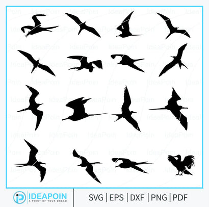 Great Frigate Bird Silhouette, Bird Silhouette, Hawaii Bird Svg, Great Frigate Bird, Iwa Bird, Svg Bundle, Great Frigate Bird Vector SVG Dinvect 