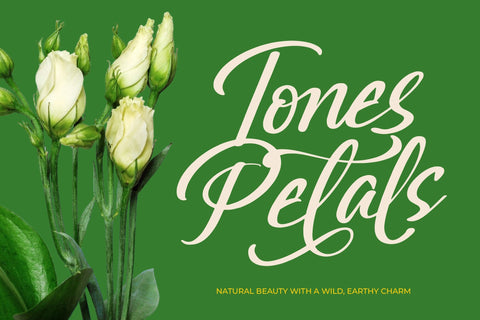 Greatesa Brought - Bold Calligraphy Font Font Letterena Studios 