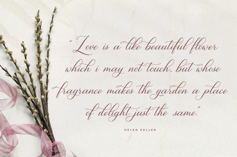 Gresilya Calligraphy Script Font Font Heinzel Studio 