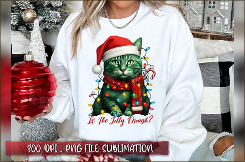 Grumpy Christmas Animals Sublimation Bundle Sublimation Shetara Begum 
