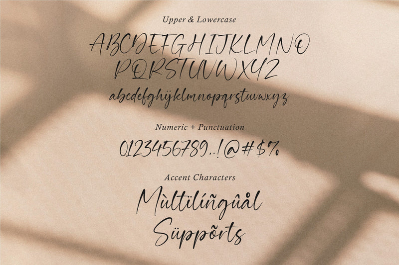 Guardian A Modern Calligraphy Script Font - So Fontsy