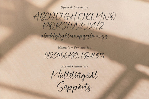 Guardian A Modern Calligraphy Script Font Font Balpirick 
