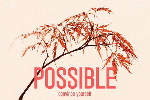 Guardian - Modern Condensed Sans Font studioalmeera 