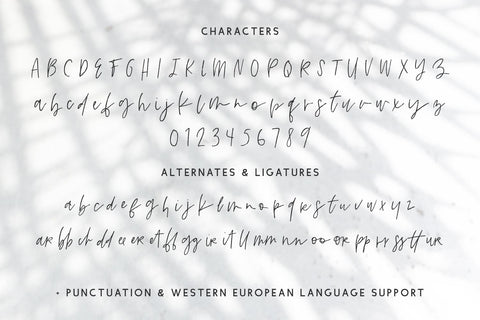 Gulfstream Brush Script Font Beck McCormick 