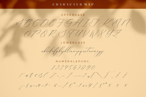 Hacburk Matrositia Font Duo Font Storytype Studio 