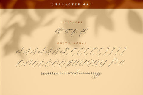 Hacburk Matrositia Font Duo Font Storytype Studio 