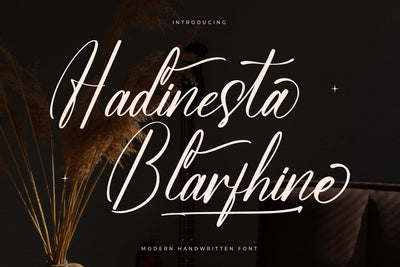Hadinesta Blarfhine - Modern Handwritten Font Font Letterena Studios 