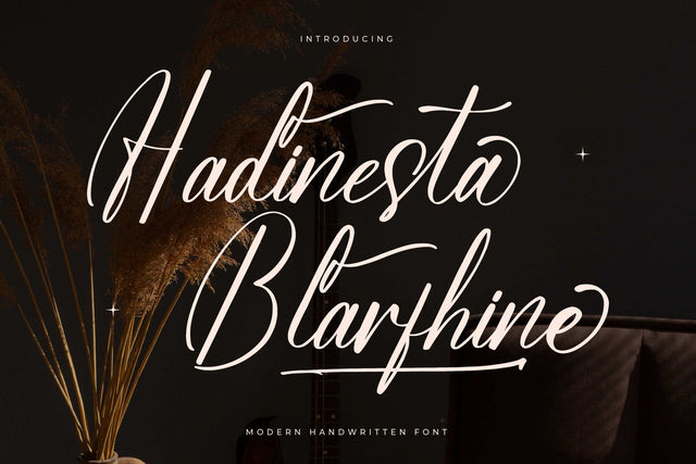 Hadinesta Blarfhine - Modern Handwritten Font Font Letterena Studios 