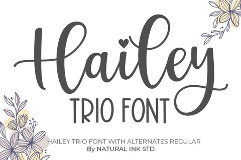 Hailey Script Font Trio Font Studio Natural Ink 