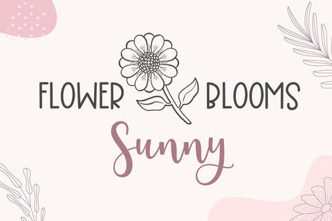 Hailey Script Font Trio Font Studio Natural Ink 