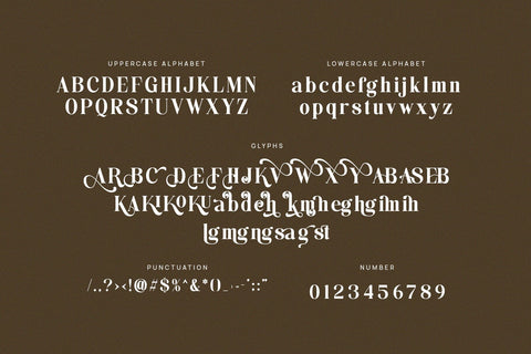 Hakinge - Elegant Serif Font Font studioalmeera 
