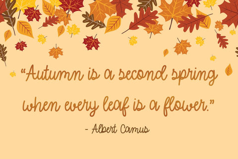 Halloween Horoscope Font Misti's Fonts 