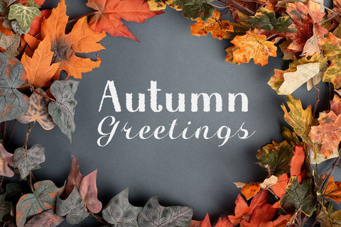 Halloween in Autumn Font Misti's Fonts 