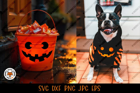 Halloween Pumpkin Face SVG, Pumpkin Faces Cut File SVG Digital Craftyfox 