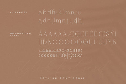 Haloyen - Stylish Font Serif Font Storytype Studio 