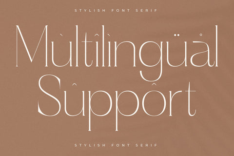 Haloyen - Stylish Font Serif Font Storytype Studio 