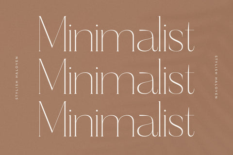 Haloyen - Stylish Font Serif Font Storytype Studio 