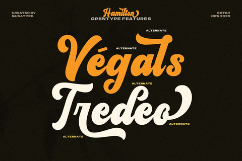 Hamilton - Bold Script Font Font Mozarella 