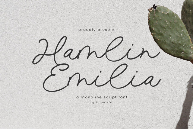 Hamlin Emilia - Monoline Script Font Font Timur type 