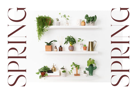 Hamster - Modern Serif Font Font Letterena Studios 