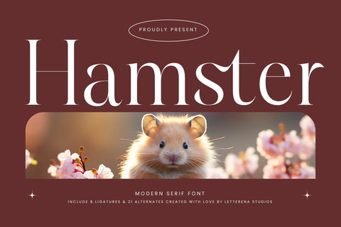 Hamster - Modern Serif Font Font Letterena Studios 