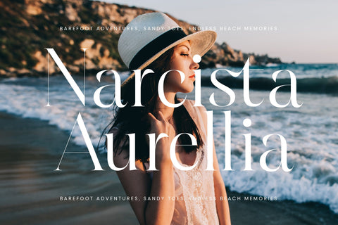 Hamster - Modern Serif Font Font Letterena Studios 