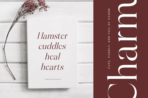 Hamster - Modern Serif Font Font Letterena Studios 