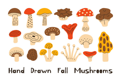 Hand Drawn Forest Mushrooms PNG Clipart Sublimation Rin Green 