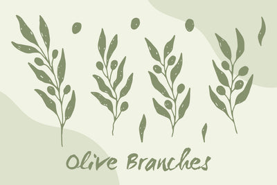 Hand Drawn Olive Branches PNG Clipart Sublimation Rin Green 