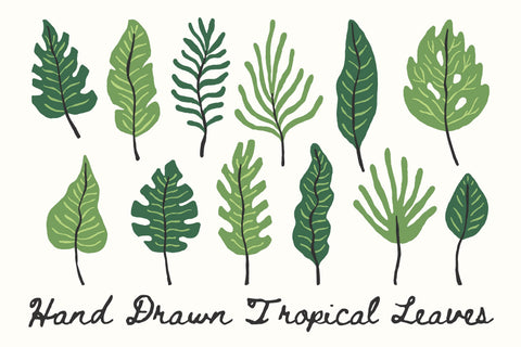 Hand Drawn Tropical Leaves PNG Clipart Sublimation Rin Green 