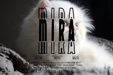 Handwriting Condense Stacked Font Dm Letter Studio 