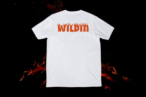 Handwriting Fire Font Dm Letter Studio 