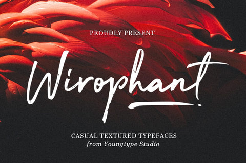 Handwritten Font Stylish Font Youngtype 