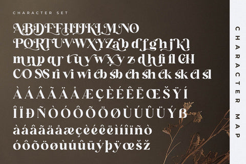 Hanfiye Guesterya Font Duo Font Storytype Studio 