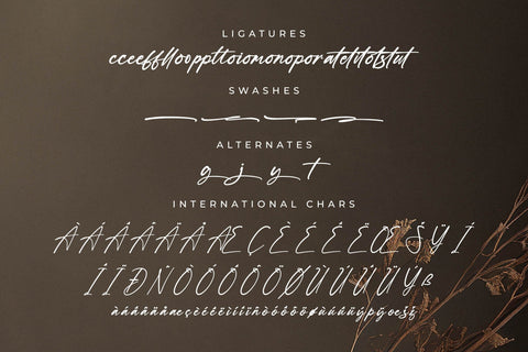 Hanfiye Guesterya Font Duo Font Storytype Studio 