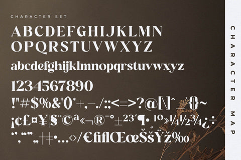 Hanfiye Guesterya Font Duo Font Storytype Studio 