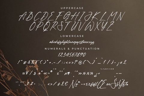 Hanfiye Guesterya Font Duo Font Storytype Studio 