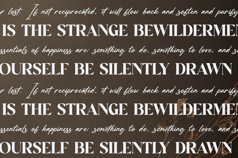 Hanfiye Guesterya Font Duo Font Storytype Studio 