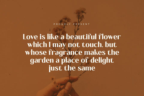 Hannah Claira - Modern Sans Serif Font Font Letterena Studios 